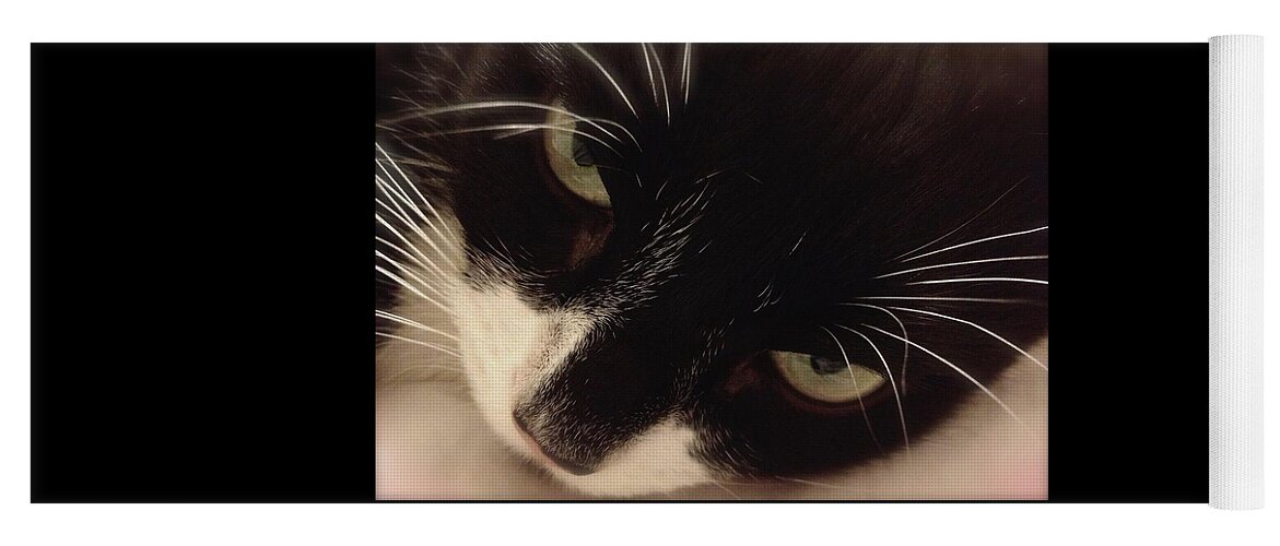 White Whiskers Yoga Mat featuring the photograph Pure White Whiskers by Debra Grace Addison