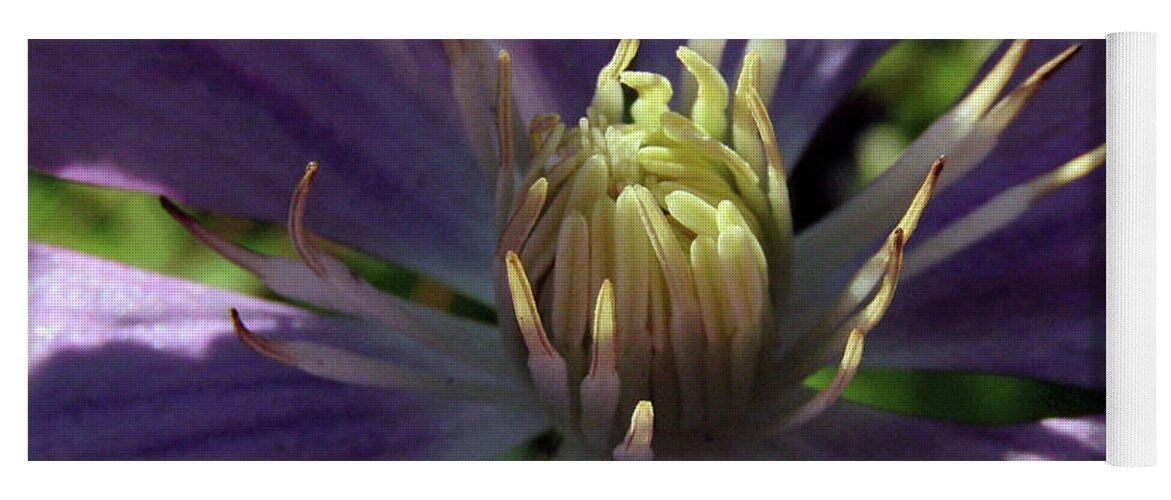 Clematis Yoga Mat featuring the photograph Purple Clematis by Kim Tran