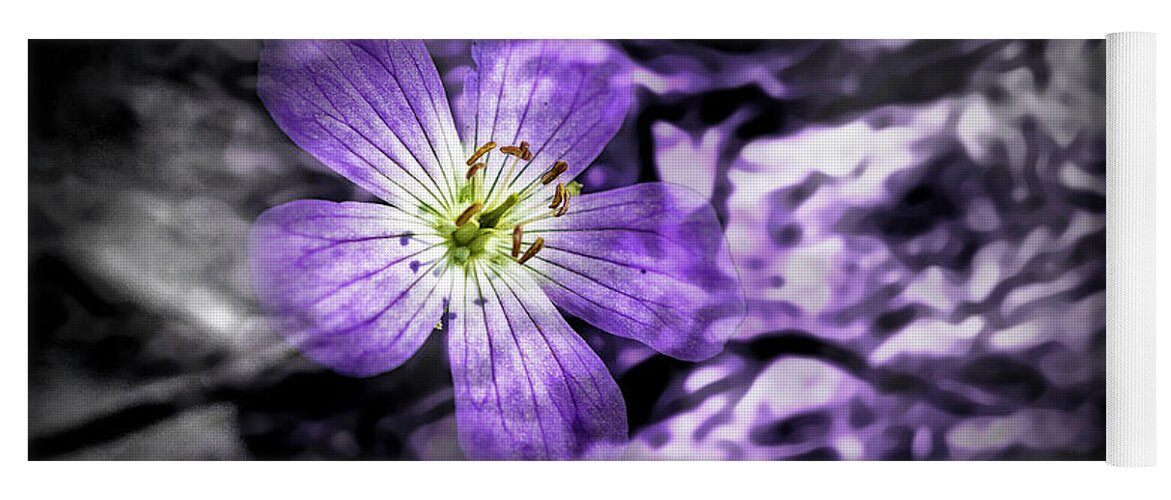 Purple Yoga Mat featuring the photograph Purple Flower by Andrew Zydell