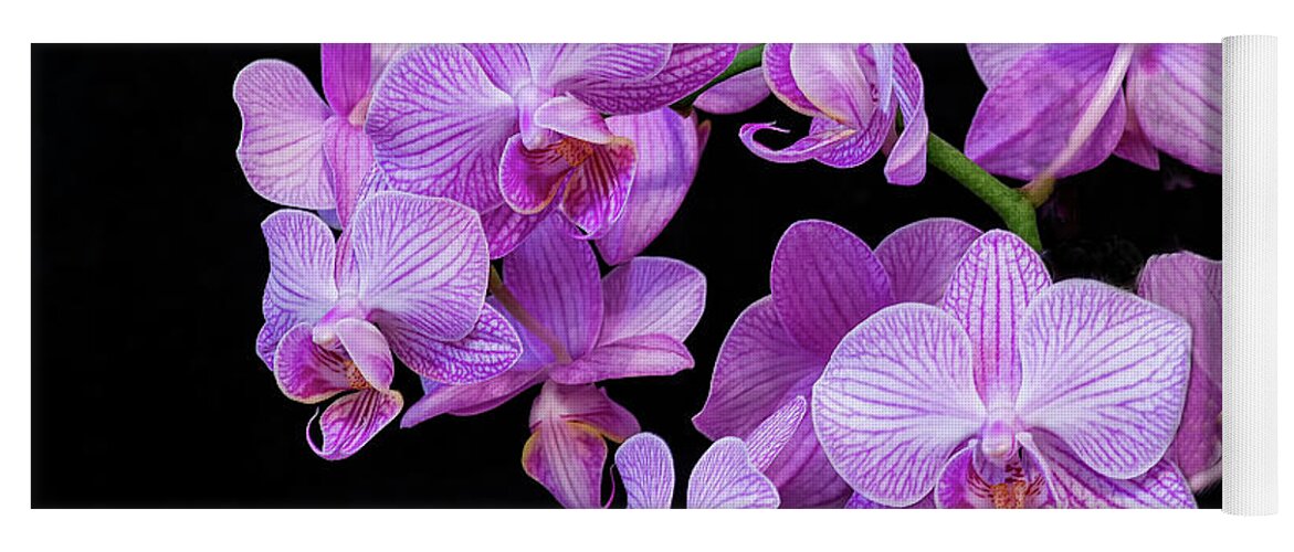 Flora Yoga Mat featuring the photograph Purple Orchid #3A by Thomas Whitehurst