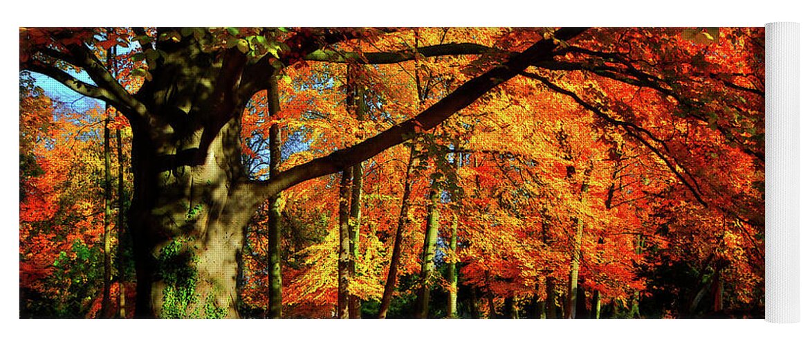 Autumn Yoga Mat featuring the photograph Red Autumn by Philippe Sainte-Laudy