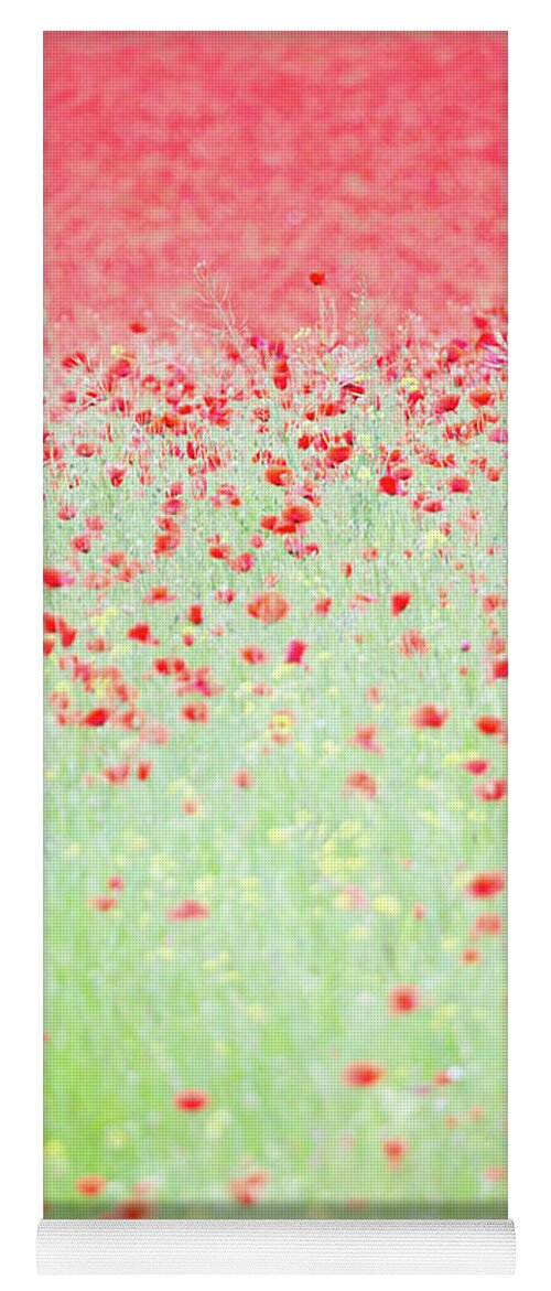  Yoga Mat featuring the photograph Red poppies in a meadow by Anita Nicholson