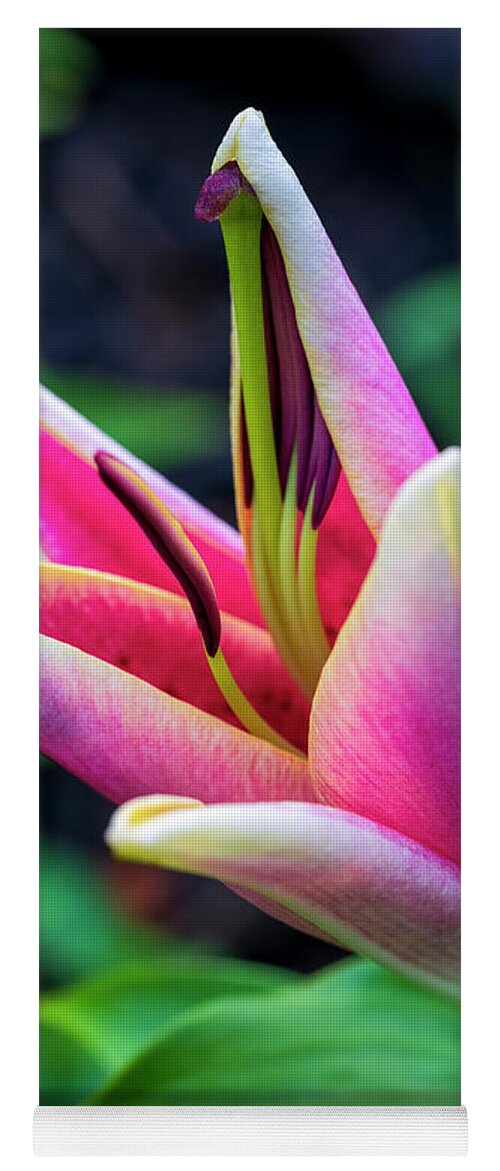 Asian Lily Yoga Mat featuring the photograph Releasing the Stamens by Robert FERD Frank