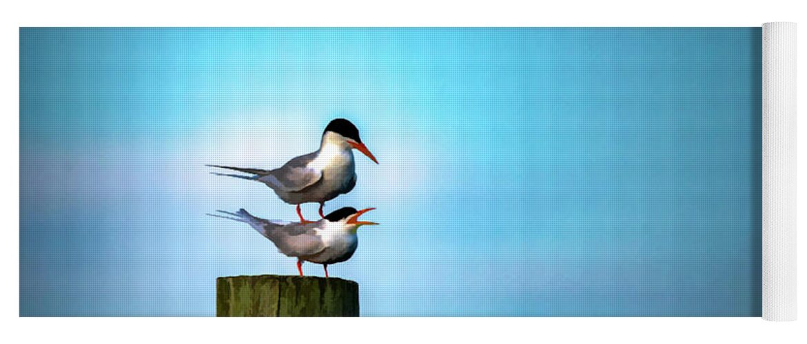 Terns Yoga Mat featuring the photograph Romance On The High Seas by Cathy Kovarik
