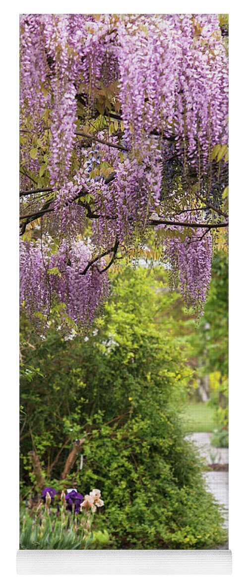 Jenny Rainbow Fine Art Photography Yoga Mat featuring the photograph Romantic Blooms of Pink Wisteria Honbeni by Jenny Rainbow