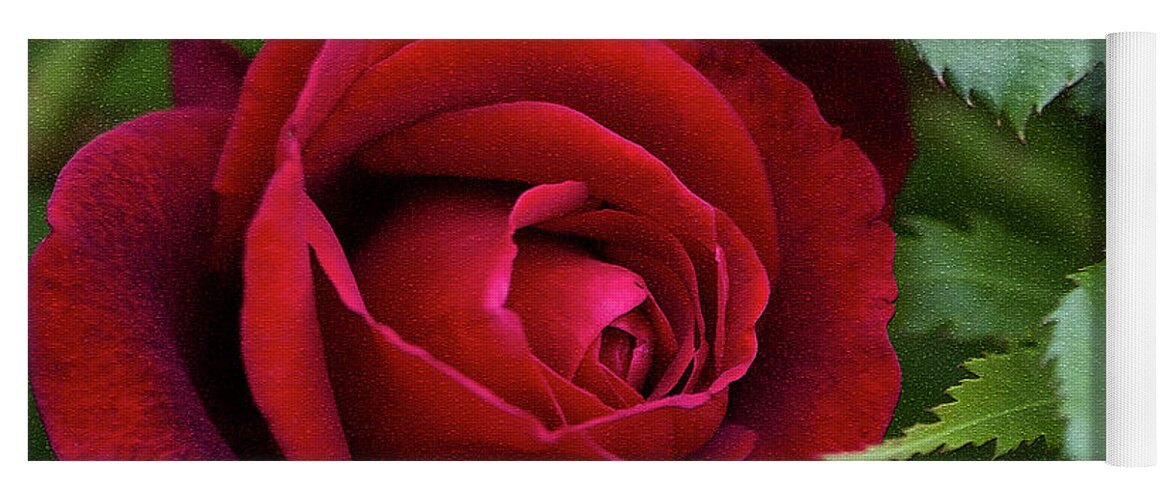 Red Yoga Mat featuring the photograph Roses Are Red and Don Juan Says So by Kathy Clark