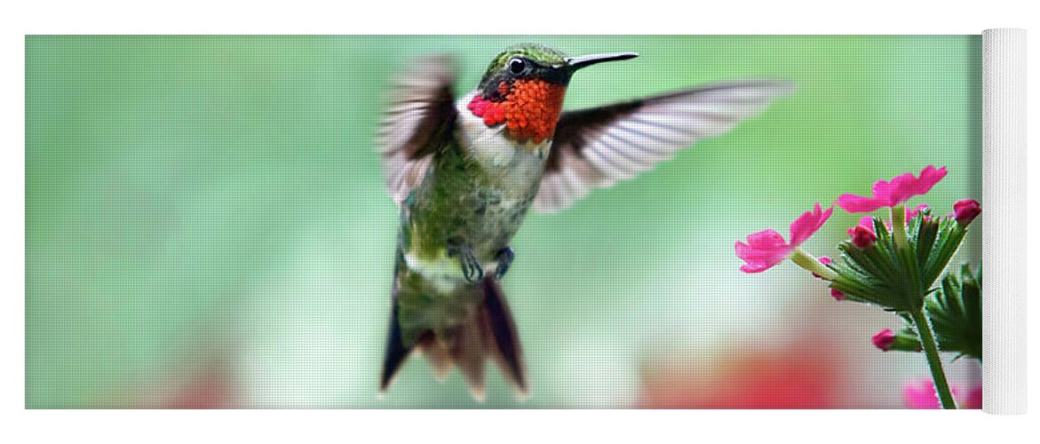 Hummingbird Yoga Mat featuring the photograph Ruby Garden Jewel by Christina Rollo