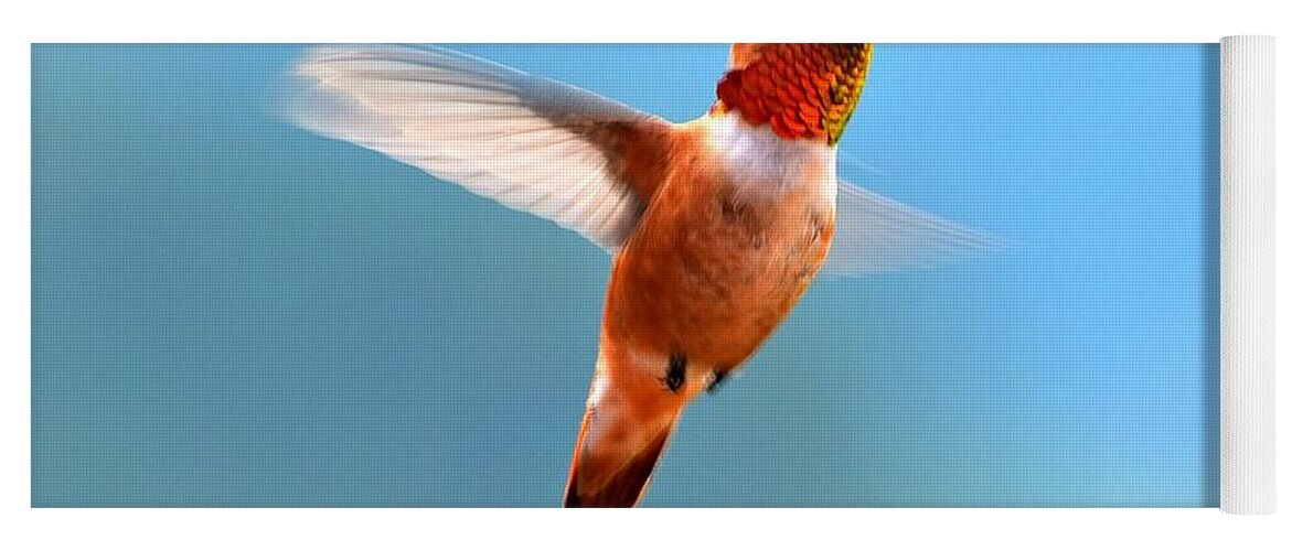 Hummingbird Yoga Mat featuring the photograph Rufous in Flight by Dorrene BrownButterfield