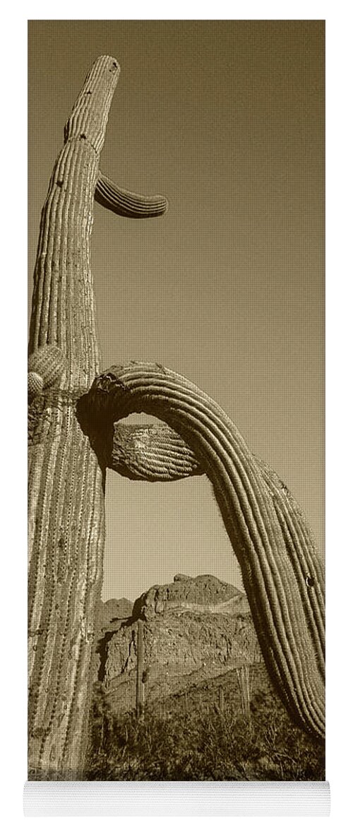 Disk1216 Yoga Mat featuring the photograph Saguaro And Ajo Mts. by Tim Fitzharris
