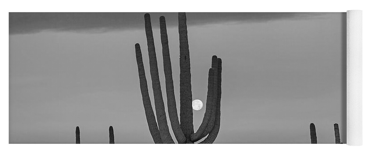 Disk1216 Yoga Mat featuring the photograph Saguaro Moon, Arizona by Tim Fitzharris