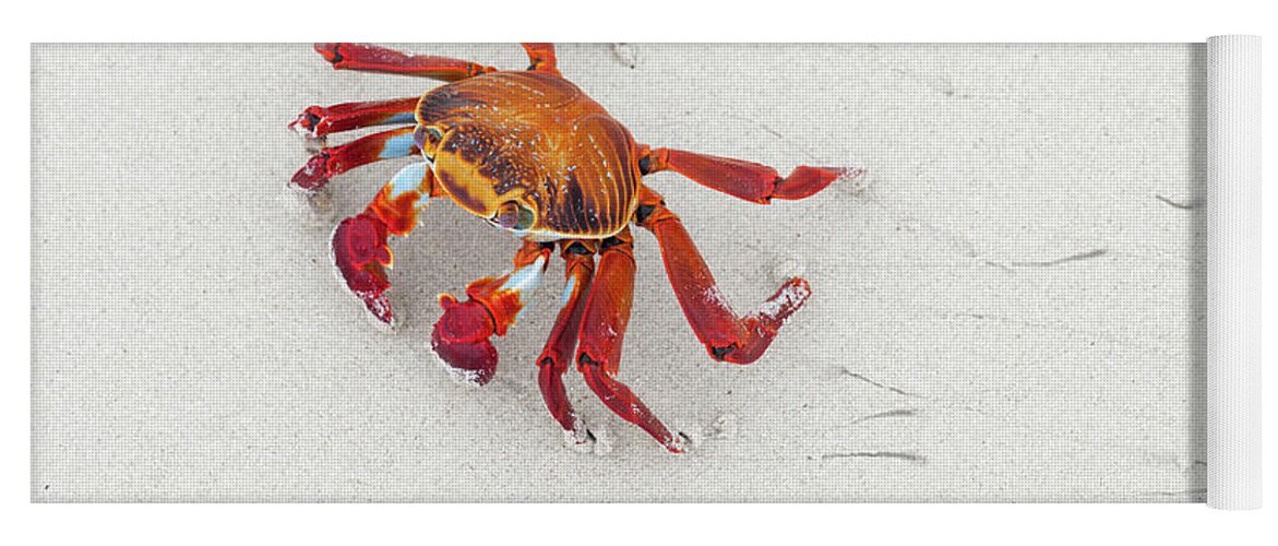 Animals Yoga Mat featuring the photograph Sally Lightfoot Crab On The Beach by Tui De Roy