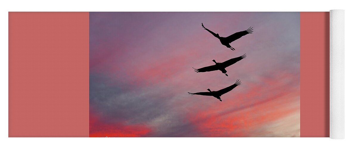 Animal Yoga Mat featuring the photograph Sandhill Cranes at Sunset by Jeff Goulden
