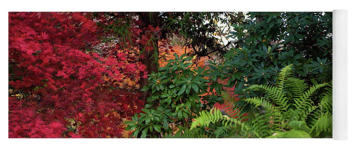 Jenny Rainbow Fine Art Photography Yoga Mat featuring the photograph Scarlet Red and Emerald Green in Japanese Garden by Jenny Rainbow