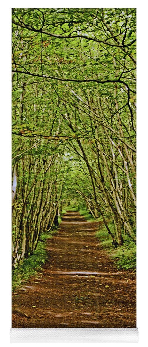 Scotland Yoga Mat featuring the photograph SCOTLAND. Killiecrankie. Path Through The Trees. by Lachlan Main