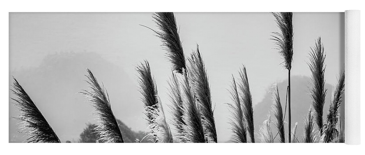 Pacific Yoga Mat featuring the photograph Sea Oats I BW by David Gordon