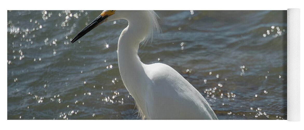 Egret Yoga Mat featuring the photograph Showy Snowy by Patricia Dennis