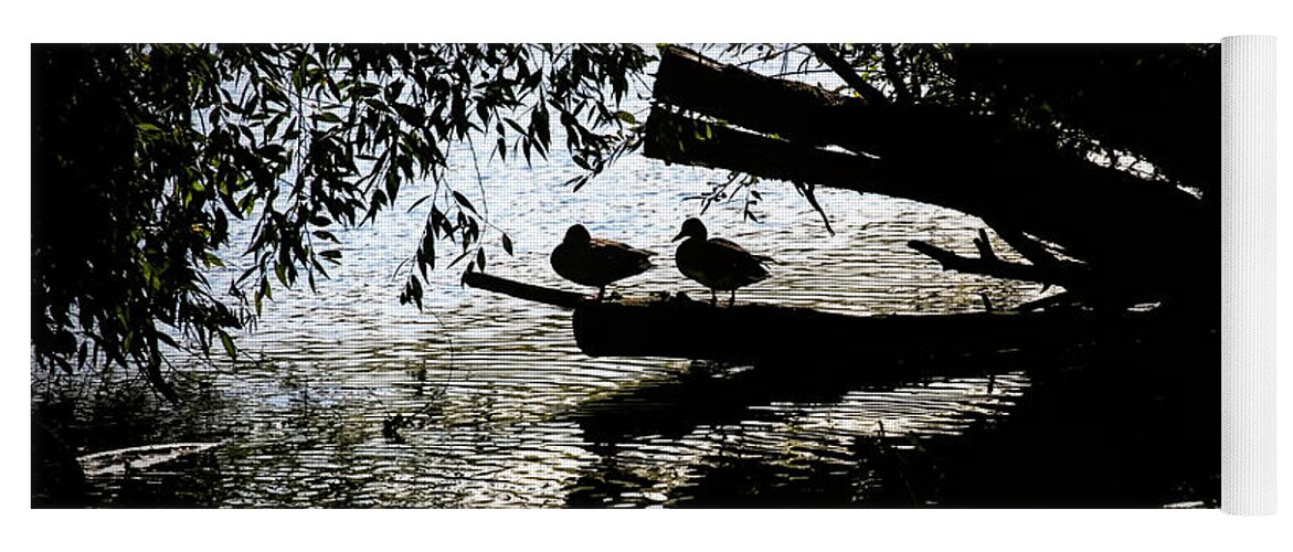 Silhouette Ducks Yoga Mat featuring the photograph Silhouette Ducks #h9 by Leif Sohlman