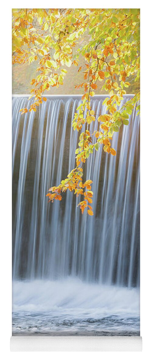 Landscape Yoga Mat featuring the photograph Silver and Gold by Anita Nicholson