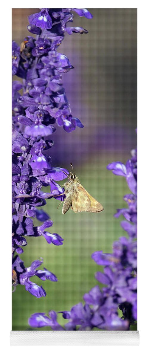 Salvia Yoga Mat featuring the photograph Skipper in the Salvia by Carol Groenen