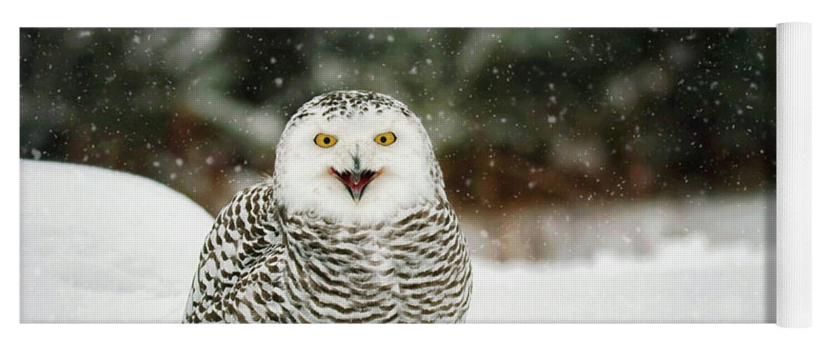 Snowy Owl Yoga Mat featuring the photograph Smiling Snowy by Carrie Ann Grippo-Pike