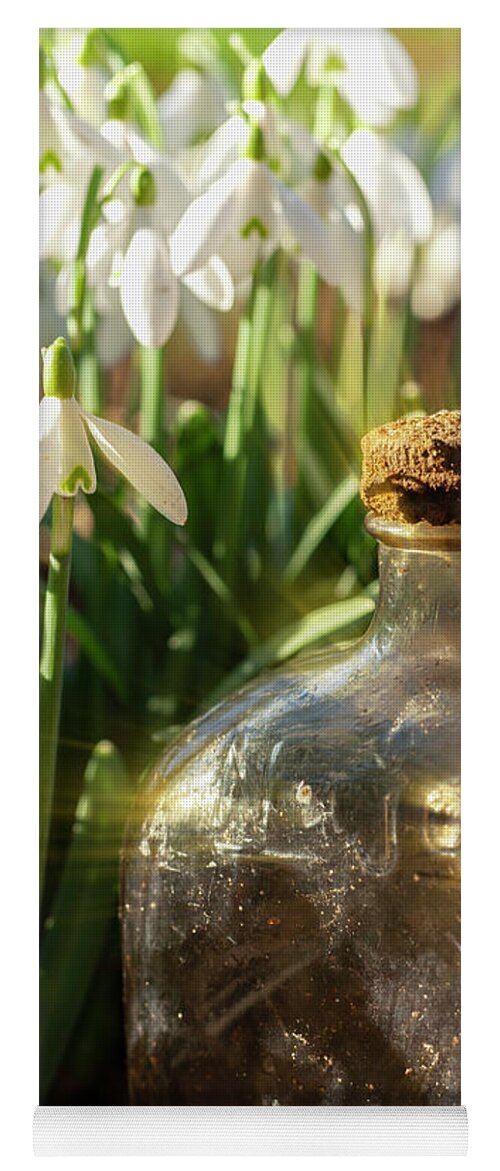 Snowdrops Yoga Mat featuring the photograph Snowdrop flowers and old glass jar with sunlight by Simon Bratt