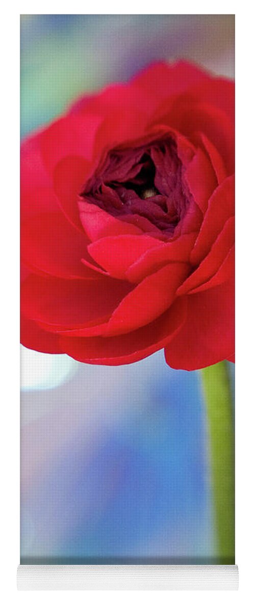 Color Yoga Mat featuring the photograph Sparkle Plenty Ranunculus by Dorothy Lee