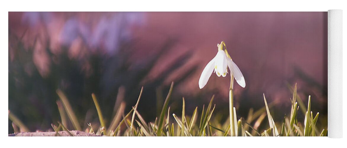 Snowdrop Yoga Mat featuring the photograph Spring Day by Jaroslav Buna
