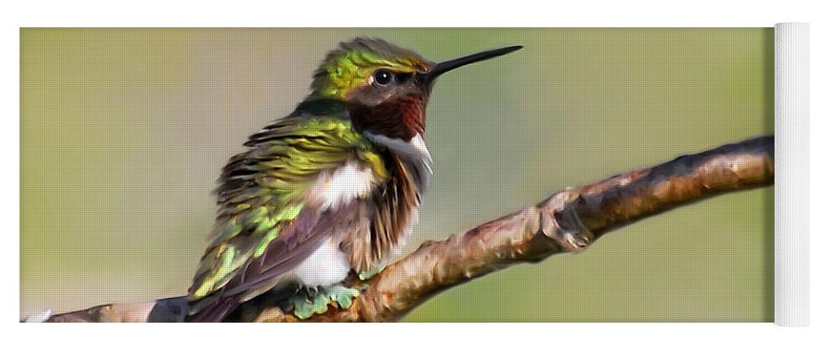 Bird Yoga Mat featuring the mixed media Spring Green Hummingbird by Christina Rollo