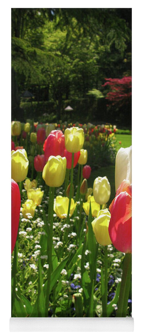 Tulip Gardens Yoga Mat featuring the photograph Spring Tulips by Terri Brewster
