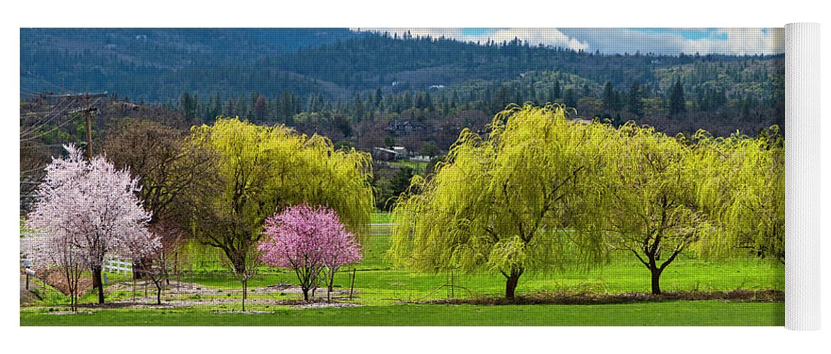 Spring Yoga Mat featuring the photograph Springtime by Dan McGeorge