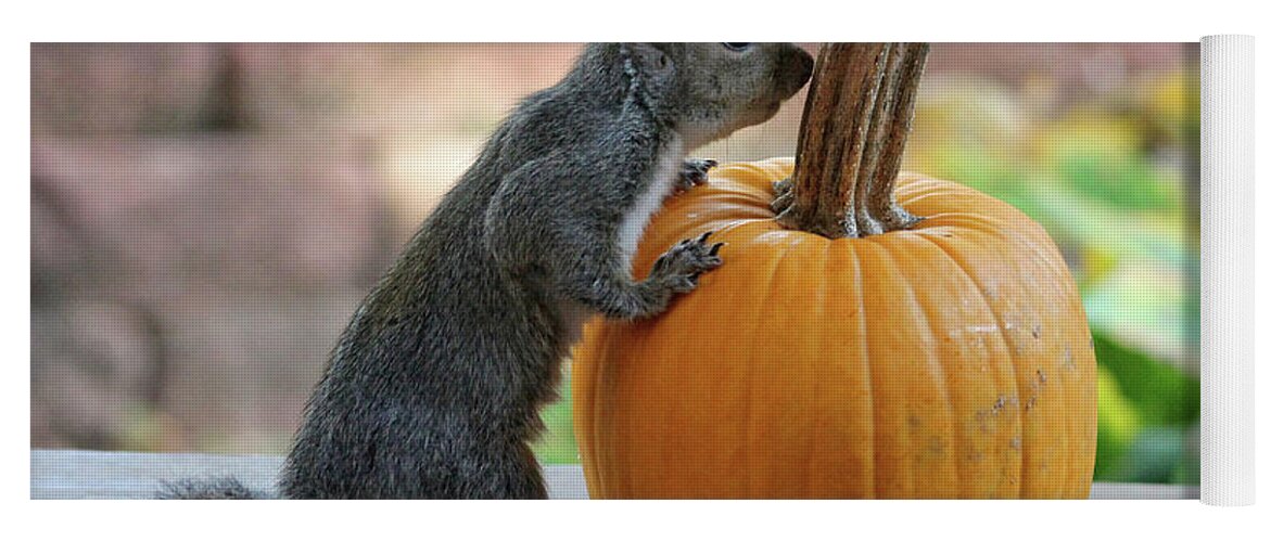 Wildlife Yoga Mat featuring the photograph Squirrel and Pumpkin by Trina Ansel