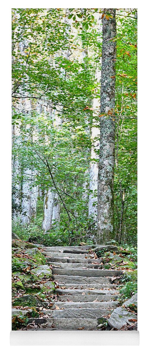 Tennessee Yoga Mat featuring the photograph Steps Up Into The Forest 1 by Phil Perkins