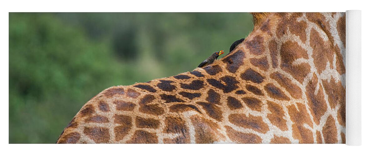 Stripes of Giraffe Yoga Mat by N Rathod - Fine Art America
