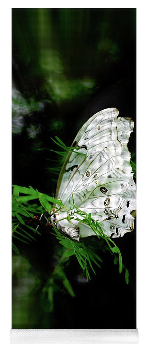 Butterfly Yoga Mat featuring the photograph Summer Azure Butterfly by Elaine Manley