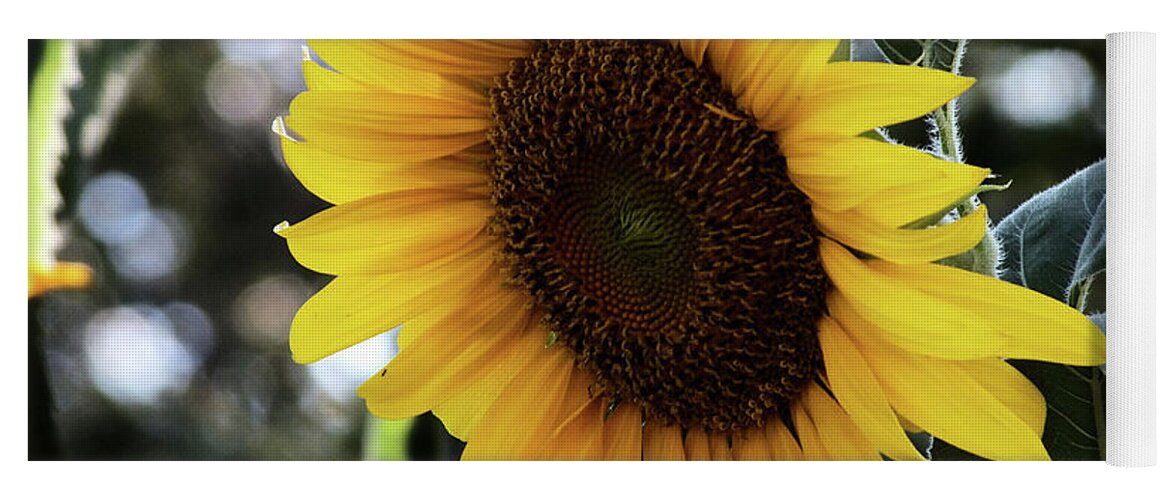 Flower Yoga Mat featuring the digital art Sun flower by Yenni Harrison