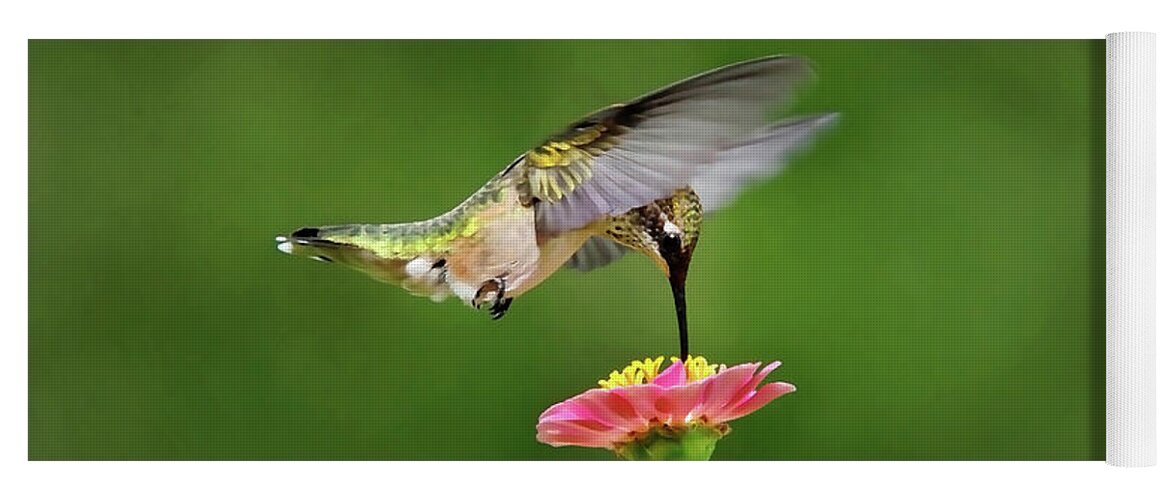Hummingbird Yoga Mat featuring the photograph Sun Sweet by Christina Rollo