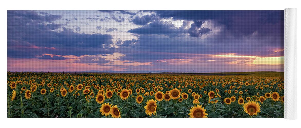 Colorado Yoga Mat featuring the photograph Sunflower Eevening by John De Bord