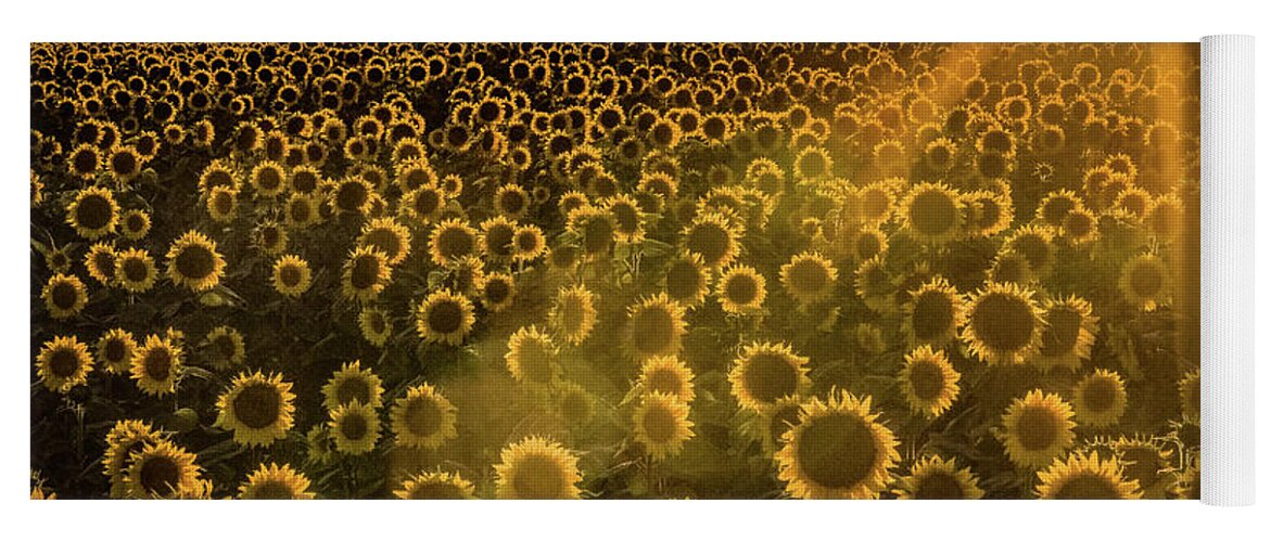 Sunflower Yoga Mat featuring the photograph Sunflower Glow by Melissa Lipton