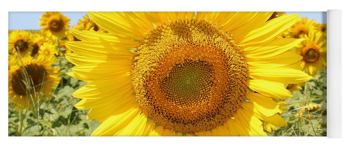 Sunflower Sunshine Ii Yoga Mat featuring the photograph Sunflower Sunshine II by Barbra Telfer