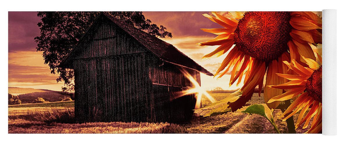 American Yoga Mat featuring the photograph Sunflower Watch Golden Evening by Debra and Dave Vanderlaan