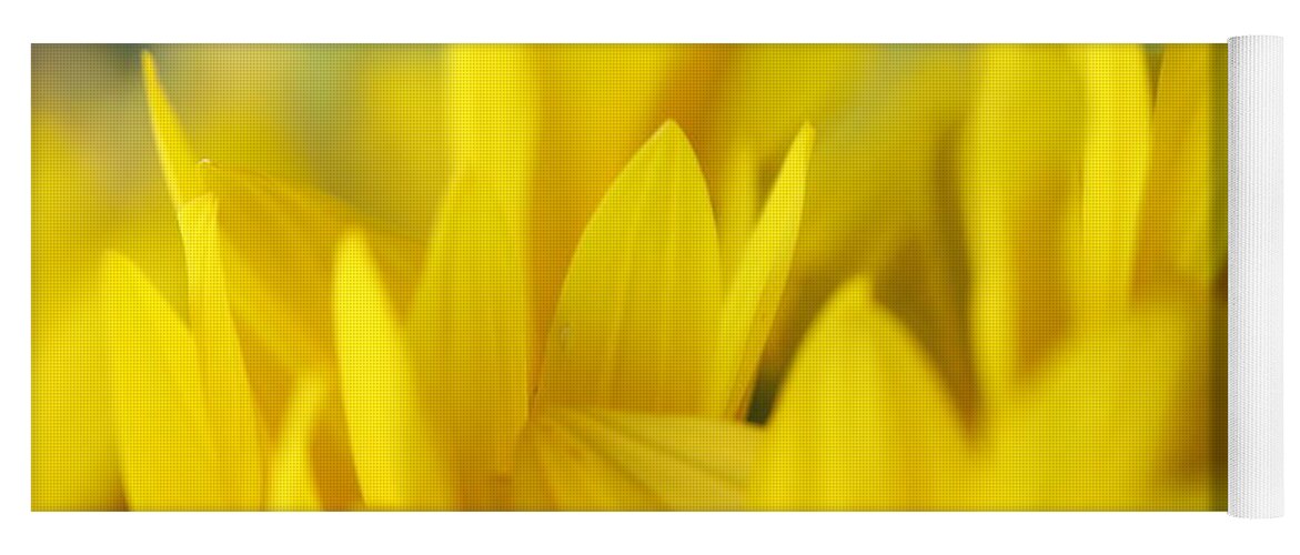 Sunflower Yoga Mat featuring the photograph Sunflowers 695 by Michael Fryd