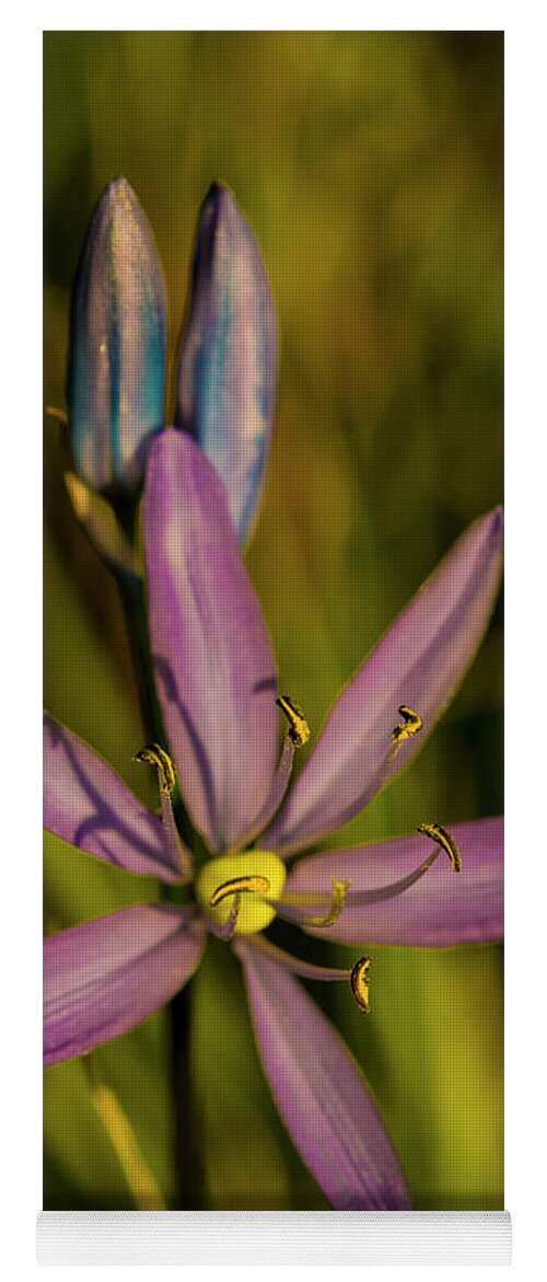 Flower Yoga Mat featuring the photograph Sunlit Camas Lily by Doug Scrima
