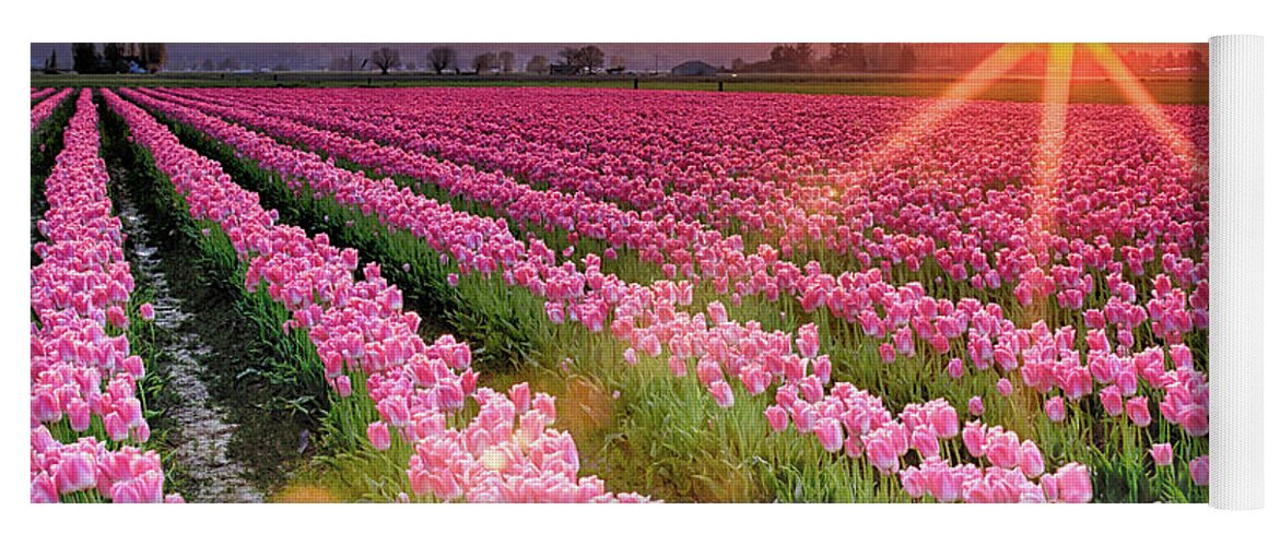 Tulip Yoga Mat featuring the photograph Sunset in the Skagit by Briand Sanderson