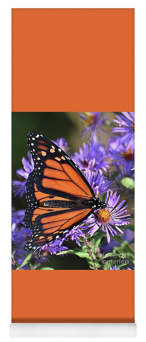Diane Berry Yoga Mat featuring the photograph Sunset Monarch by Diane E Berry