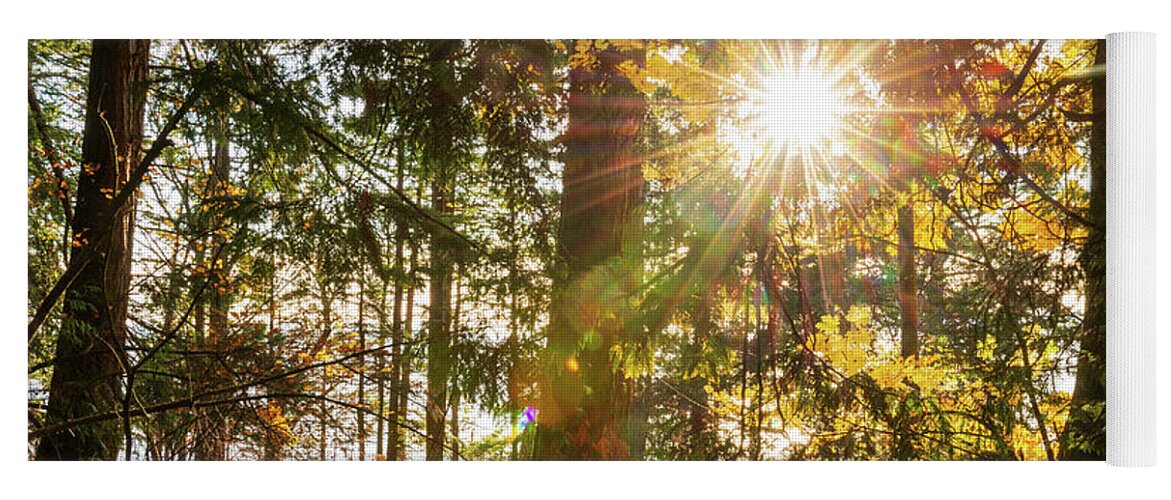 Fall; Autumn; Color; Trees; Forest; Sun; Ray Of Sunshine; Trail; Chuckanut Drive; Washington; Pnw; Pacific North West Yoga Mat featuring the digital art Sunshine at Whatcom County by Michael Lee