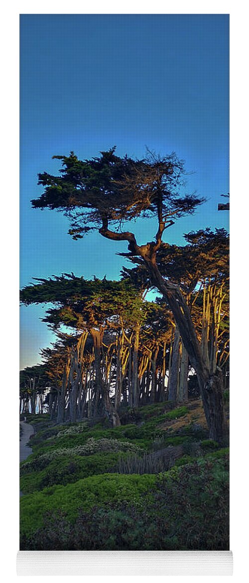 Sutro Yoga Mat featuring the photograph Sutro by James Canning