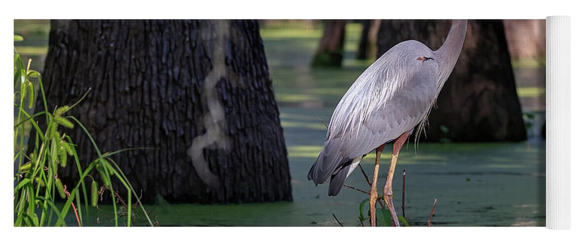 Great Blue Heron Yoga Mat featuring the photograph Swamp Heron by JASawyer Imaging