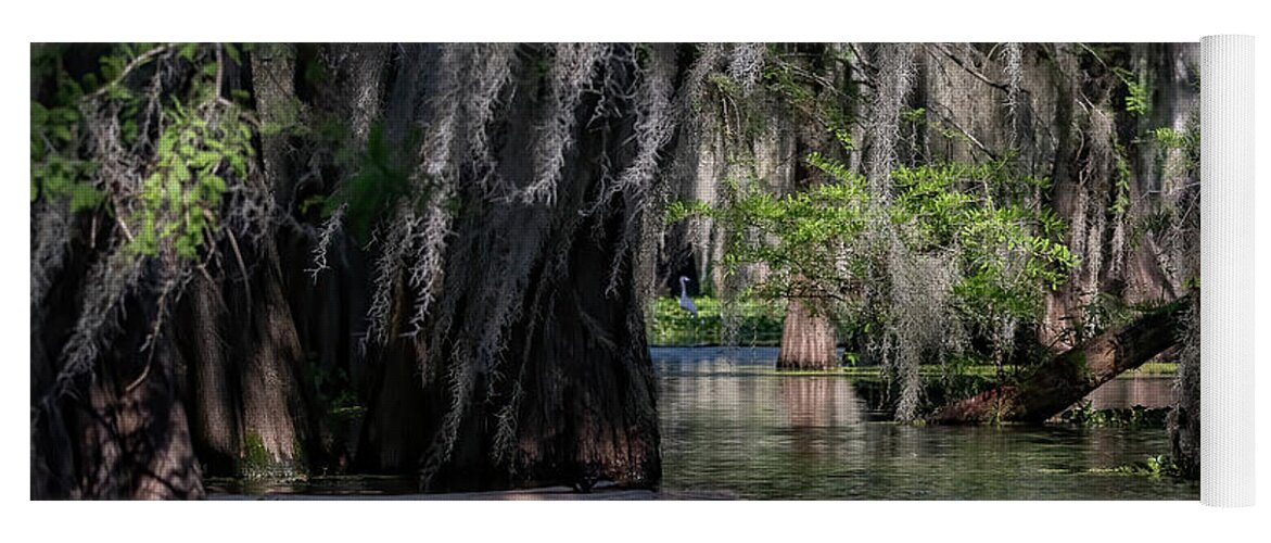Swamp Yoga Mat featuring the photograph Swamp Moss by JASawyer Imaging