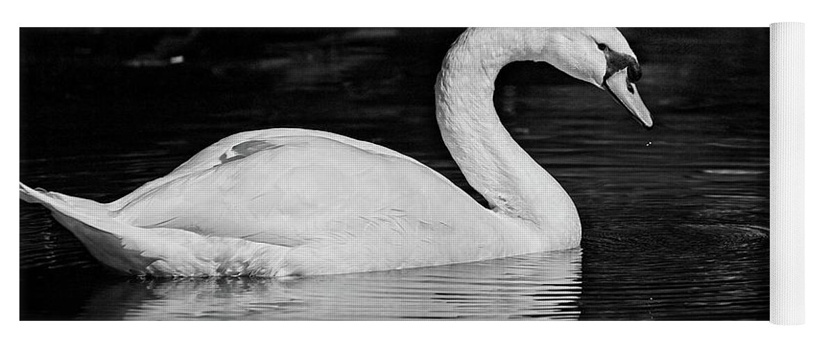  Yoga Mat featuring the photograph Swan by Steve DaPonte