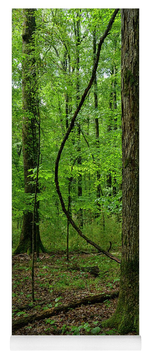 Landscape Yoga Mat featuring the photograph Swinging Liana by James Covello